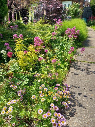 A picture of the Best Wildlife Garden winning garden